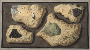 Especímenes de tobas de las canteras cerca de la Grotta de Pausilipo, Placa XXXXII, de 